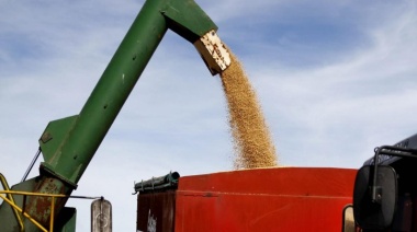 Buena señal para la Argentina: sube la soja en los mercados