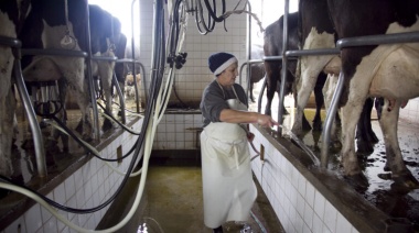 El Gobierno oficializó la suspensión de las retenciones a los lácteos