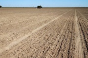 Sequía: cuáles son los 13 partidos bonaerenses que pueden acceder a beneficios de Nación