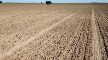 Sequía: cuáles son los 13 partidos bonaerenses que pueden acceder a beneficios de Nación