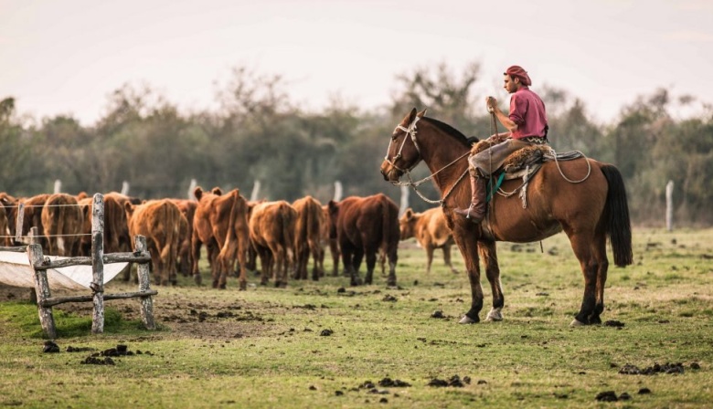 Financiarán proyectos para impulsar el arraigo rural de jóvenes