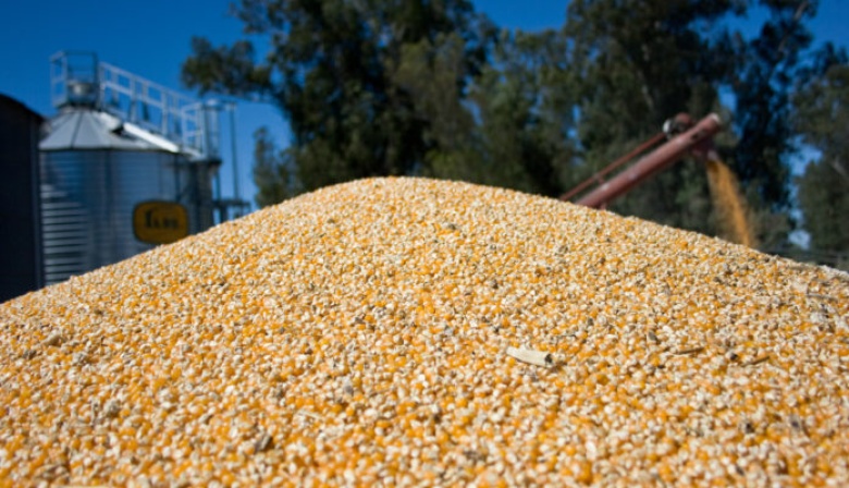 Desarticulan supuestas maniobras en acopios por más de 4700 toneladas de granos