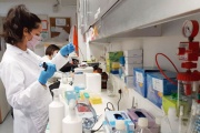 Investigadores del Conicet avanzan en el desarrollo de un test para detectar cáncer de mama y de próstata