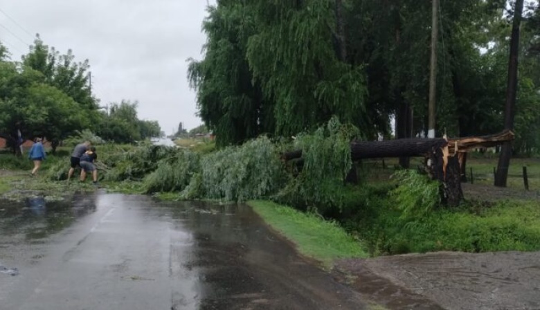 El temporal de lluvia y viento provocó destrozos y afectó a 48 distritos bonaerenses